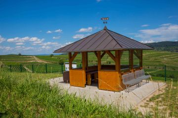 Präsident / Vorstand